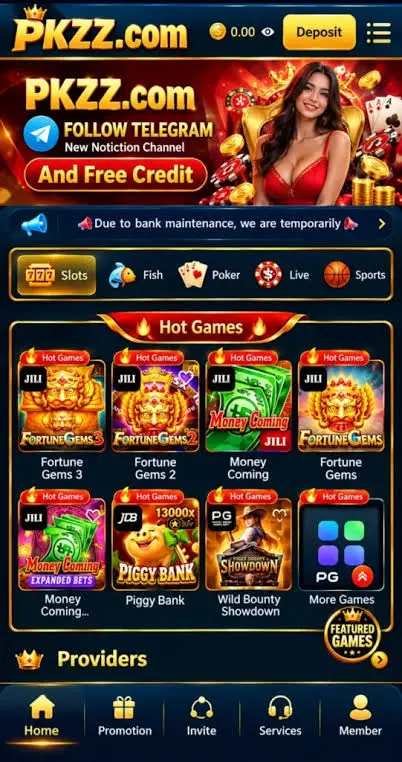 PKZZ APK